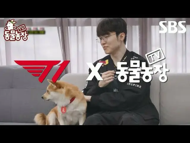 #Shin Dong-yup #Jeon SoNee (Jeon Sung-hee)_  #Tony Ahn (HOT)_  #JOY #SBS Educati