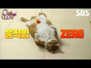 #Shin Dong-yup #Jeon SoNee (Jeon Sung-hee)_  #Tony Ahn (HOT)_  #JOY
 #SBS Educat