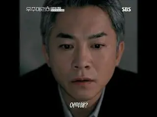 A 90-day camouflage honeymoon story of two men and women trying to shoot the hig