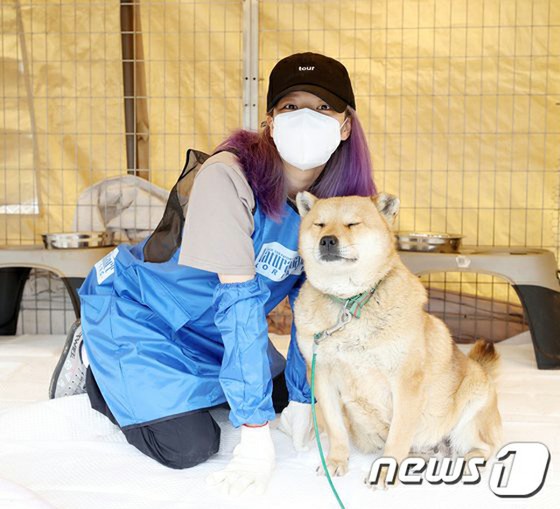 "TWICE" Jeongyeon's overseas fanclub donated for abandoned dogs on Jeongyeon's birthday