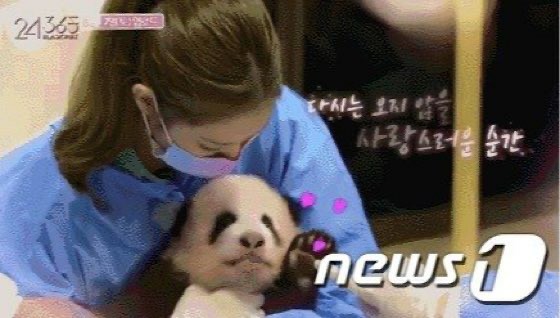 "BLACKPINK touched a panda without gloves"