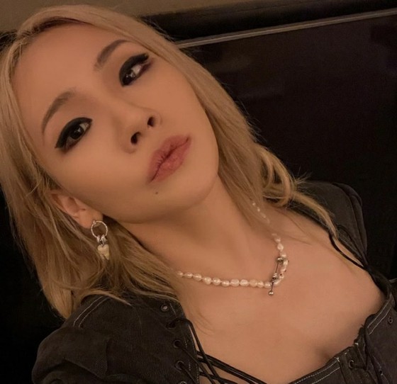Singer CL, "Exceptional fashion" on top of underwear... "MET GALA" turned it upside down.