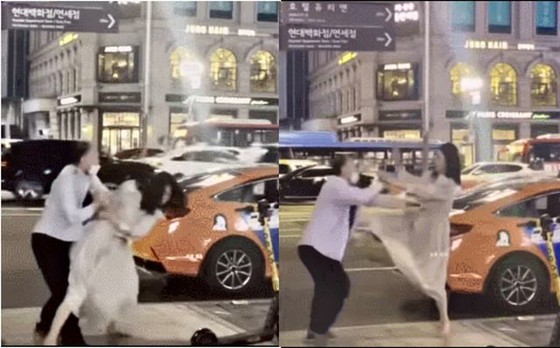 Video of drunk woman assaulting taxi driver spreads, "Be wary of drunken culture" = Korean press