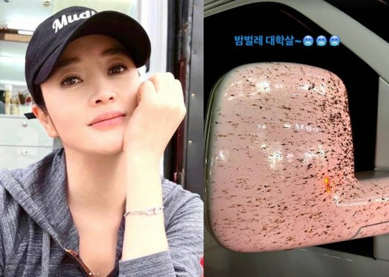 Actress Kim Hye Soo is surprised at the condition of a terrible car ... Surprised by the "genocide" left in the side mirrors