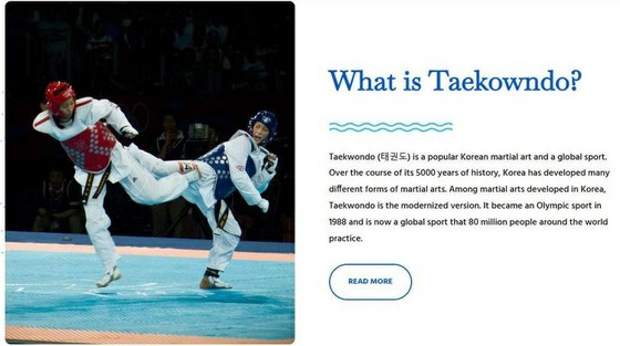 Korean civic group VANK controversial for introducing Taekwondo's 'origin'