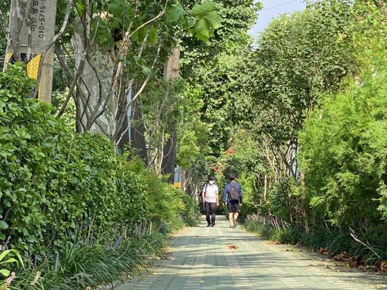 Seoul builds 100,000m tree-lined road to reduce fine dust = Korea