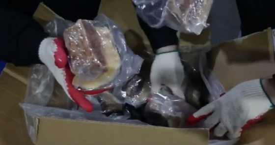 Korea denounces group that smuggled 4 tons of 'whale meat' from Japan disguised as 'kamaboko'