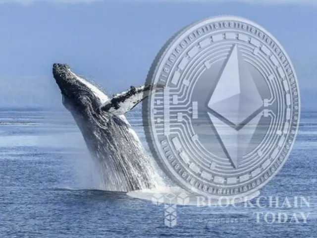 Ethereum Whales Increase Holdings by 14% Since April Lows