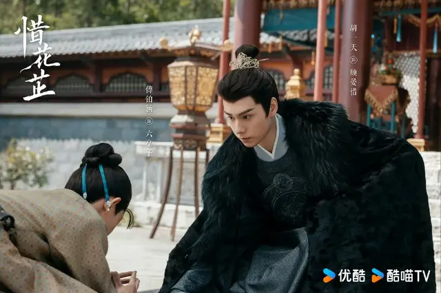 ≪中華ドラマNOW≫「惜花芷（せきかし）～星が照らす道～」30話、顧晏惜が沈煥と芍薬の仲を懸念する＝あらすじ・ネタバレ