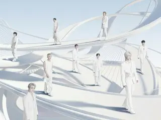 Two spectators injured after firecrackers fall on audience at SEVENTEEN concert