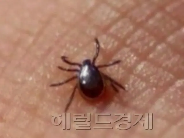 死者406人の「殺人ダニ」被害に、政府は “傍観”=韓国