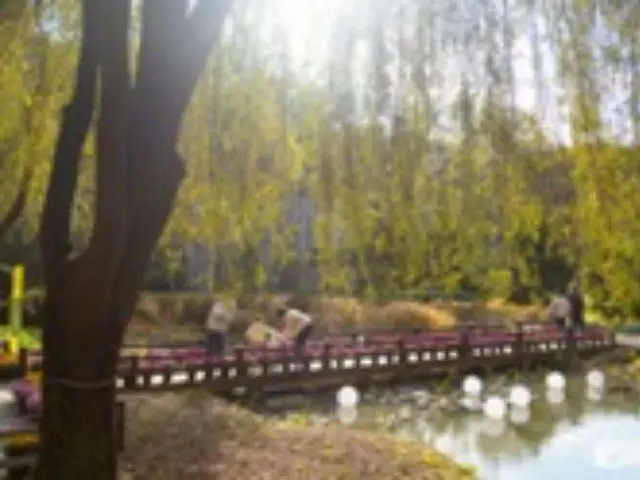 韓国の秋を満喫できる森林、京畿観光公社が紹介＝韓国