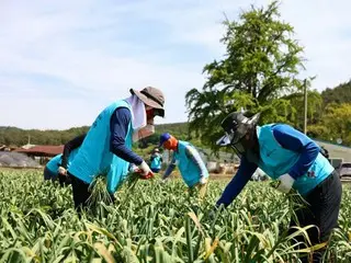 Last year, more than 1,000 foreign seasonal workers left the country without permission - South Korea