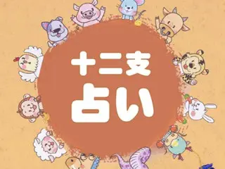Korean Zodiac Fortune Telling - October 2023 4week's