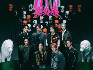"Stray Kids" talks about their comeback ambitions of "having fun till the end like rock stars"