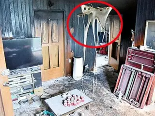 'Explosion' occurs when trying to exterminate rats... 20 bottles of insecticide sprayed in South Korea