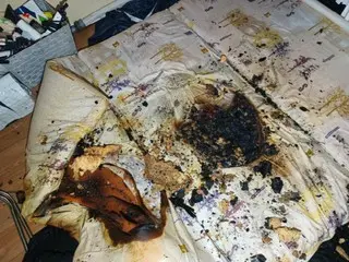 Residents evacuate after going out with electric carpet on causing fire - South Korea