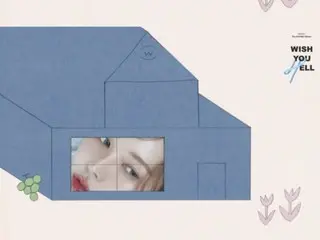 "RedVelvet" Wendy's 2nd mini album "Wish You Hell" has deep sensibilities