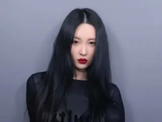 Singer Sunmi shows off her goddess-like visuals... S-line style