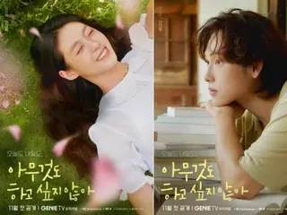 ≪Korean TV Series OST≫ "I don't want to do anything ~ Stop and fall in love ~", Best masterpiece "Hello, Stranger to you" = Lyrics, commentary, idol singer
