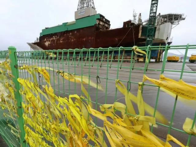 Constitutional petition on whether rescue measures were taken at the time of the Sewol ferry disaster rejected