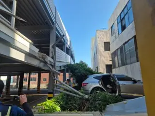 Car falls from hotel parking lot in Jeju, South Korea