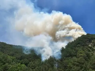 Forest fire in Taebaek, Gangwon Province, extinguished in 6 hours... 2.4 hectares of national forest burned down (South Korea)
