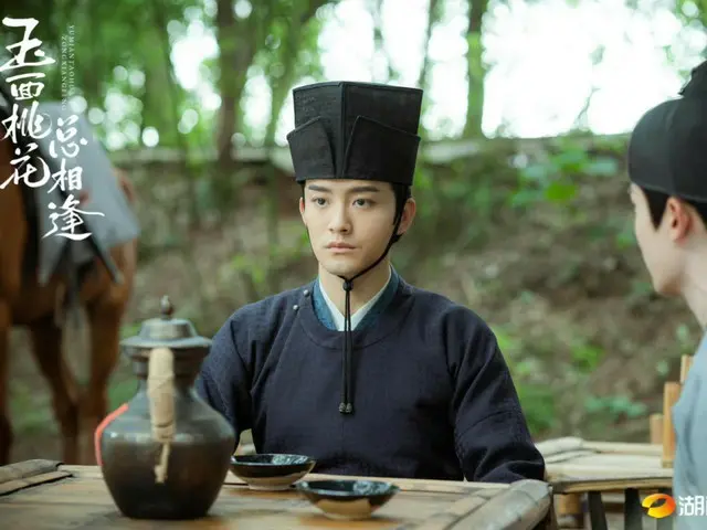 ≪中華ドラマNOW≫「玉面桃花 〜福を呼ぶ契約結婚〜」24話、傳温の力で雲萊鎮へ生薬を運ぶことができなくなってしまう＝あらすじ・ネタバレ