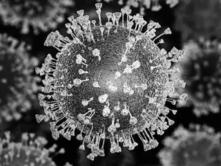 COVID-19 KP.3 variant spreads in South Korea...Increase in hospitalized patients
