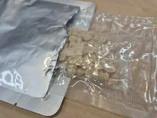 Vietnamese gang member who distributed "cocktail drugs" in South Korea arrested