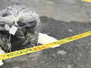 19th garbage balloon from the North... 50 pieces fall in Seoul, northern Gyeonggi Province