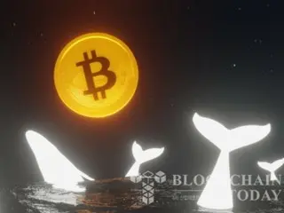 Bitcoin whale holdings hit record high: 'a signal of optimism for the long term'