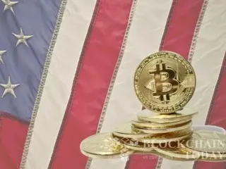 Bitcoin base premium hits lowest price of the year… “US individual investors’ investment sentiment shrinks”
