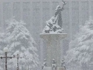 South Korea's record-breaking November snowfall causes worst damage to agricultural facilities since 2018