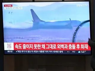 British aviation expert: "Concrete wall at the end of the runway may have been the decisive cause"