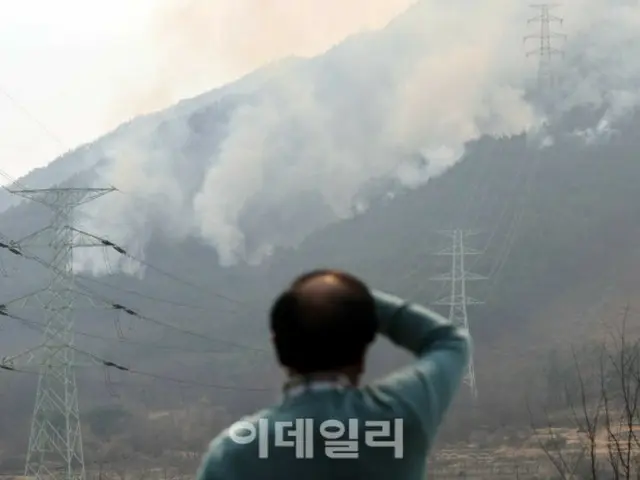 山火事加害者の処罰より「根本的な国家災害システム変革」が優先=韓国