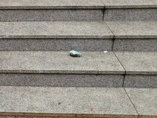 Part of an exterior wall "fell" on a woman from an apartment roof in South Korea