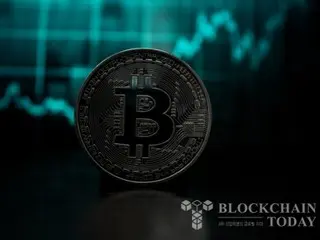 Bitcoin Bull Index Hits Highest Value This Year... "May Exceed $110,000"