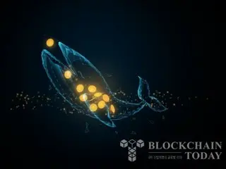 Whales continue to sell Bitcoin after peak price, with holdings down 40% in eight years