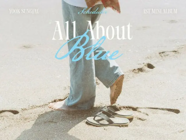 "Return to work" Yuk Seong Jae (BTOB) releases timetable for 1st mini album "All About Blue"
