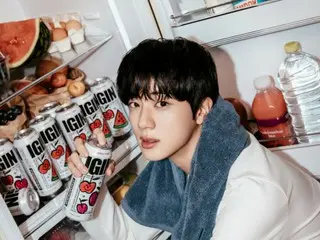 BTS' JIN selected as global ambassador for alcoholic beverage brand IGIN