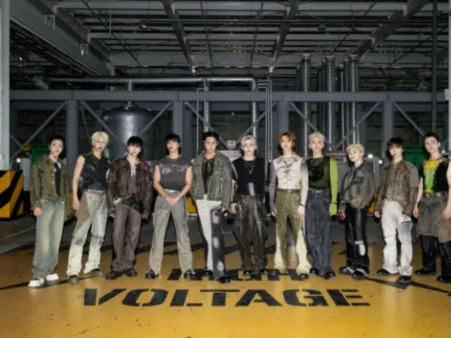 "SEVENTEEN" removes malicious comments from their roots...Requests disclosure to US court