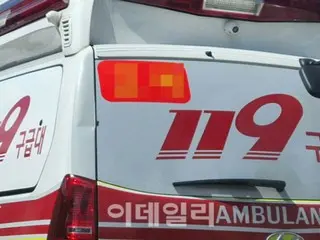 Road collapses in Busan, South Korea