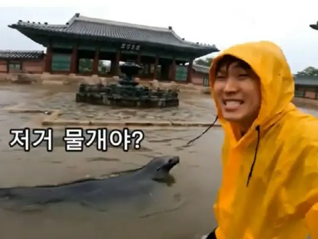 豪雨で水に浸かった景福宮に現れたオットセイ…話題の映像の正体は？＝韓国
