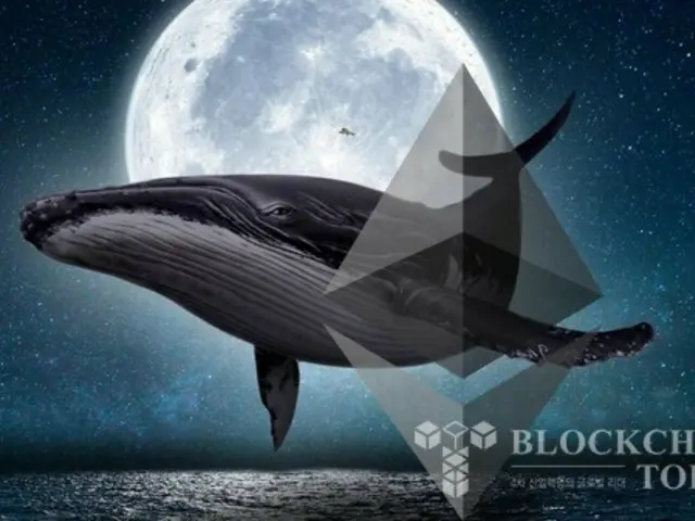 New Whale Purchases 312,000 ETH – Could This Be Ethereum’s New High?