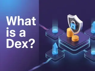 Decentralized Exchanges (DEXs): A Strategic Choice Between Performance and Accessibility