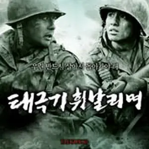 Taegukgi: The Brotherhood of War