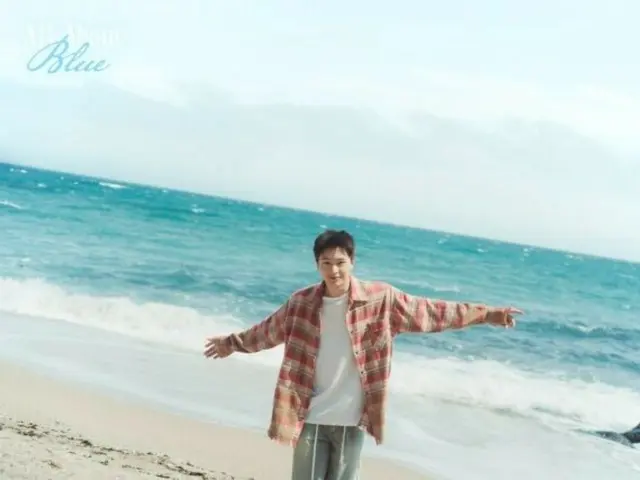Yuk Seong Jae (BTOB), a visual more refreshing than the blue sea... Like a summer pictorial