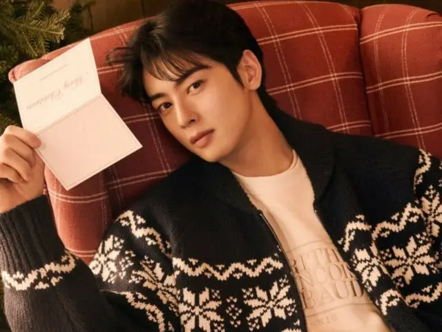 ASTRO's Cha EUN WOO is full of Christmas mood... A warm winter message (video included)